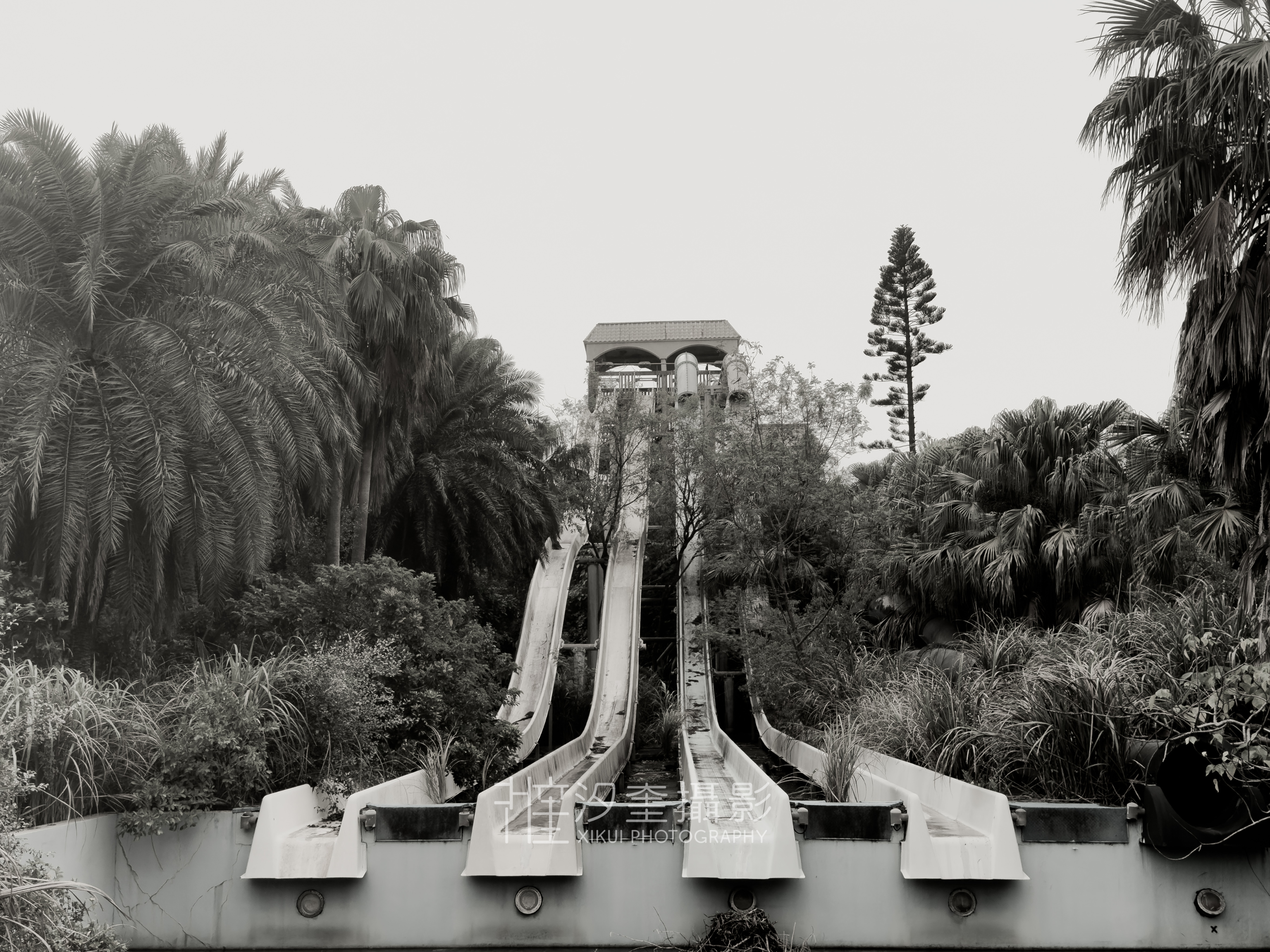 八仙水上樂園 004